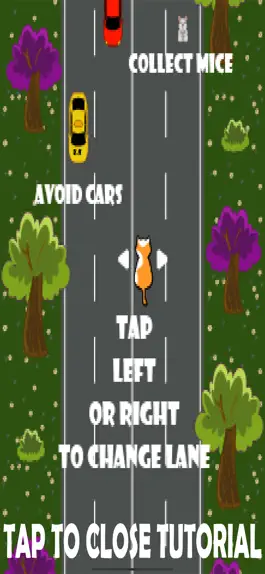 Game screenshot Cat Rush - Catch the Mouse apk