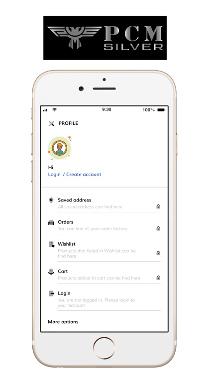 PCM Silver screenshot-7