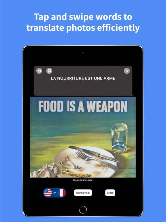 French - English : Translator iPad screenshot 5 - Productivity app
