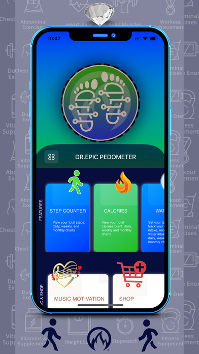 DR.EPIC PEDOMETER Screenshot