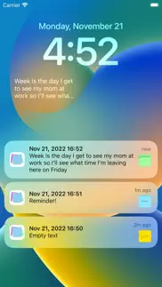 sticky notes + widget memo iphone screenshot 3