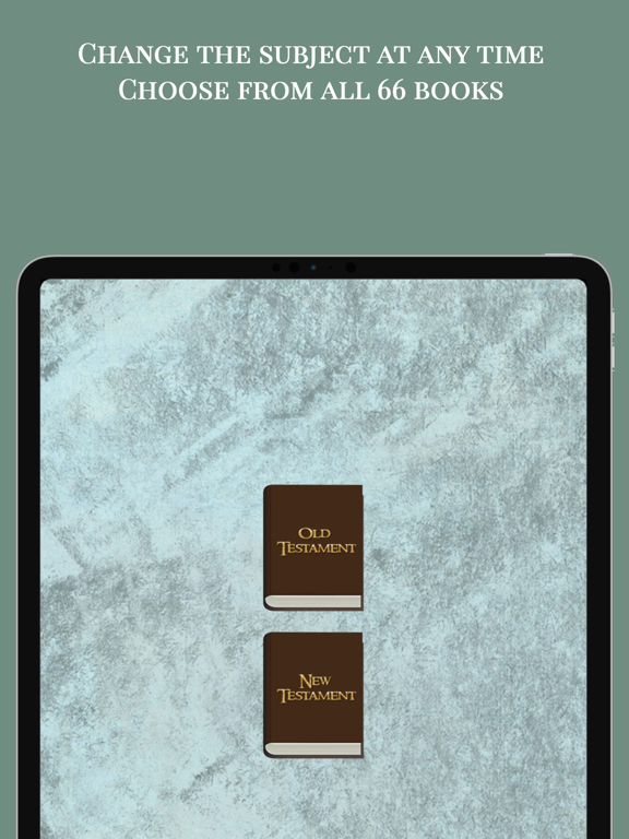 Amplified Bible Study Offline iPad screenshot 3 - Reference app