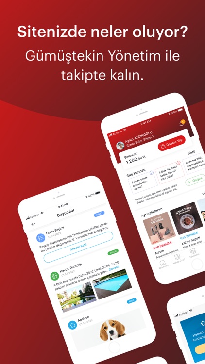 Gümüştekin Yönetim