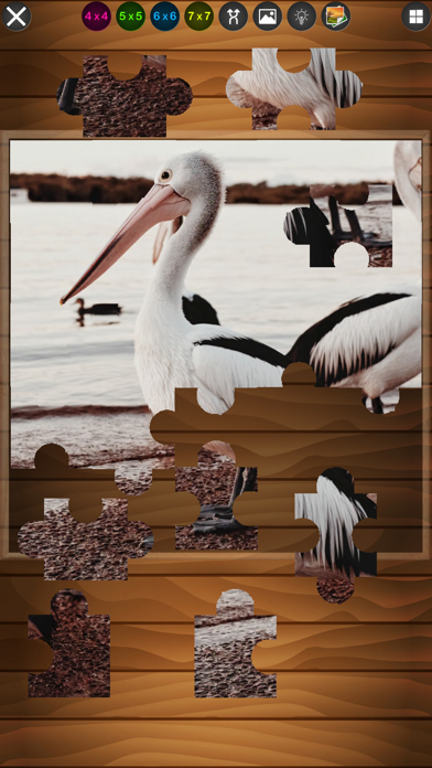 Jigsaw Puzzle Simple Screenshot