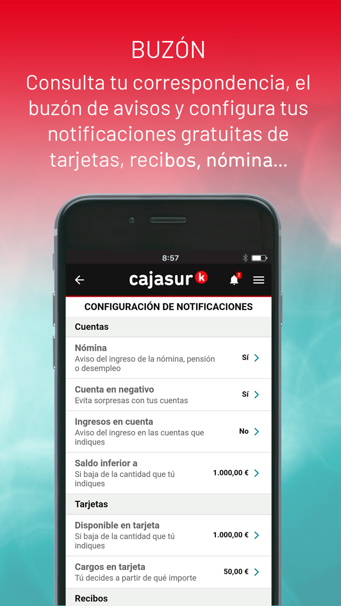 Cajasur
