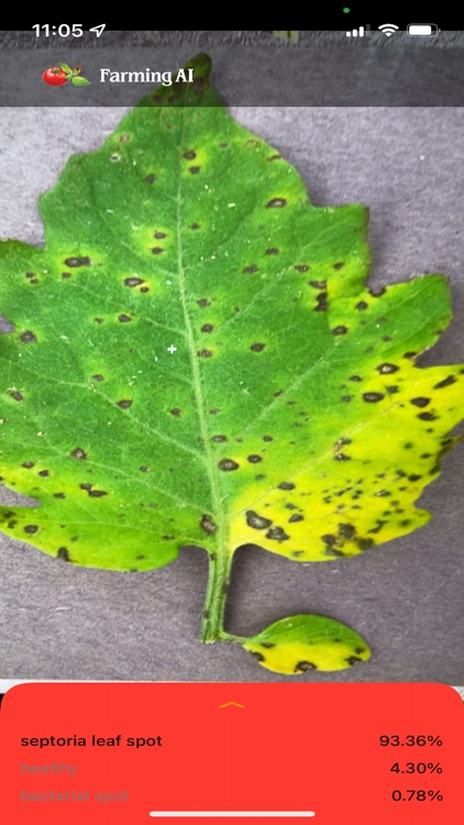 Tomato Disease Diagnosis