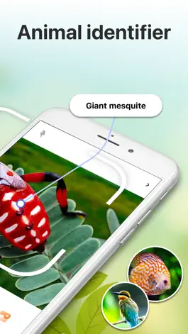 Game screenshot Insect Identification Bug ID apk