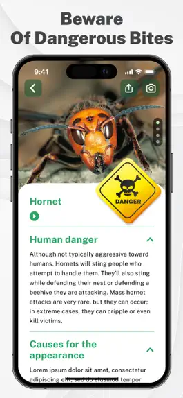 Game screenshot Insects & Bugs Identifier ID apk