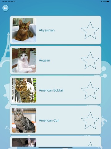 Quiz guess all cute cat breedsのおすすめ画像4