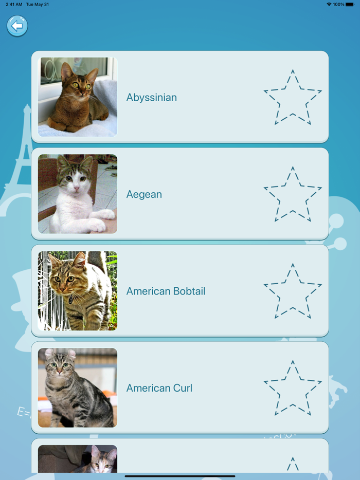 Quiz guess all cute cat breeds