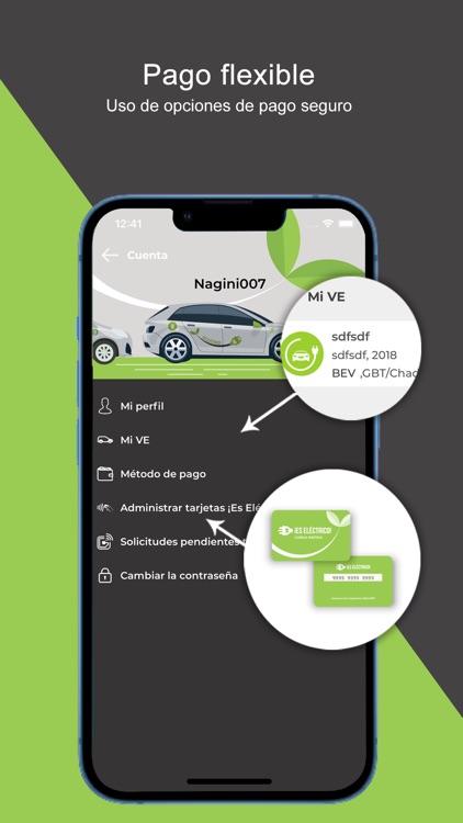 ¡Es Eléctrico! screenshot-7