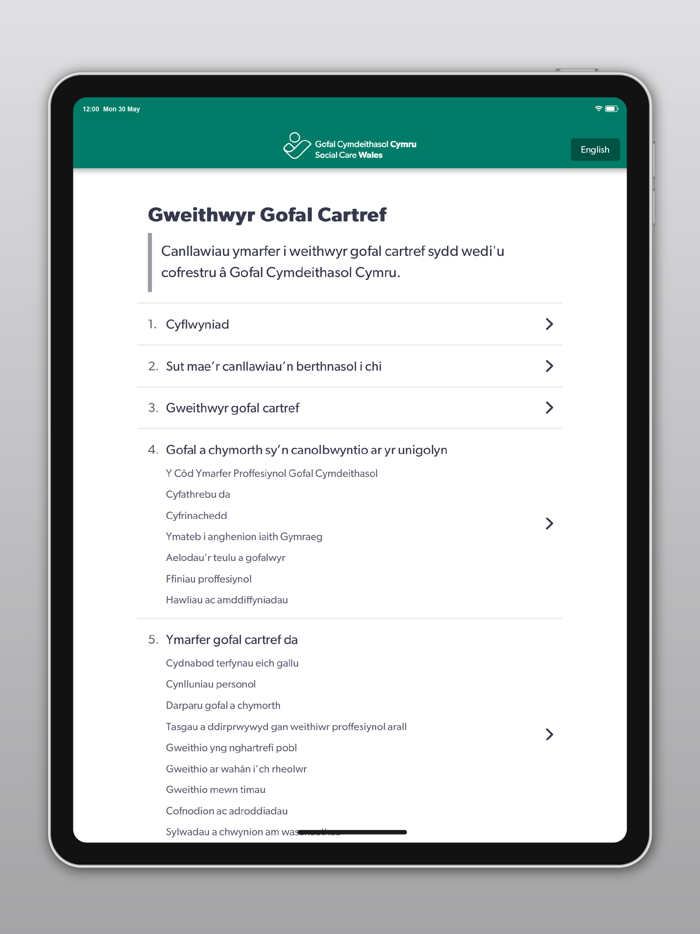 The Domiciliary Care Worker