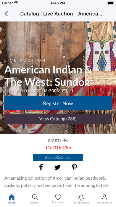 North American Auction Company Screenshot