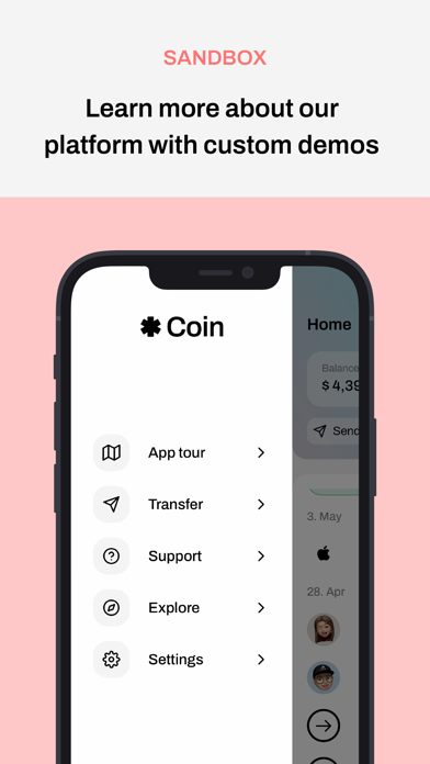 Colorful Coin Screenshot