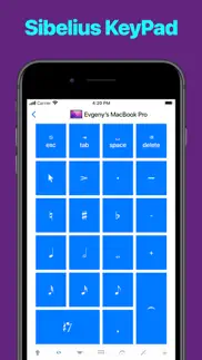 sibelius keypad iphone screenshot 1