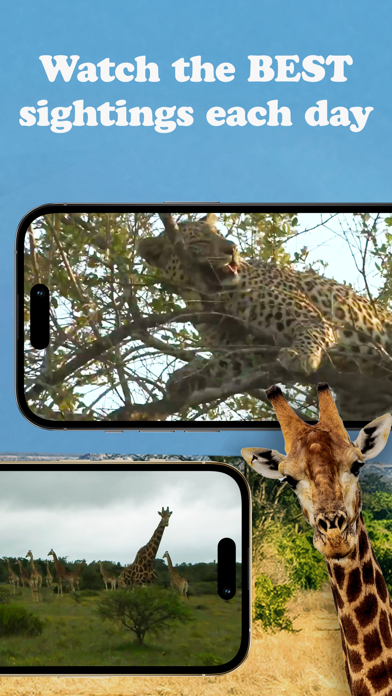 WildEarth TV - Nature Safari Screenshot