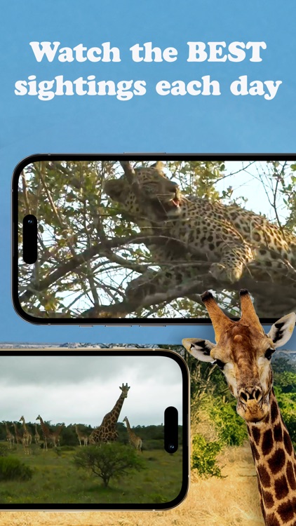 WildEarth TV - Nature Safari screenshot-7