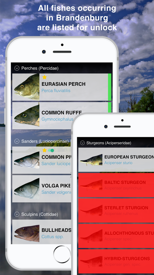 #2. Fishguide Brandenburg (iOS) 由: Robin Schaefer