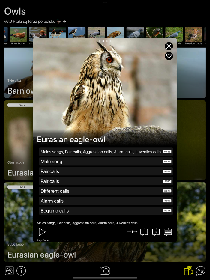 Bird Decoys - European Birds