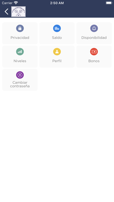 CT Mercadal Screenshot