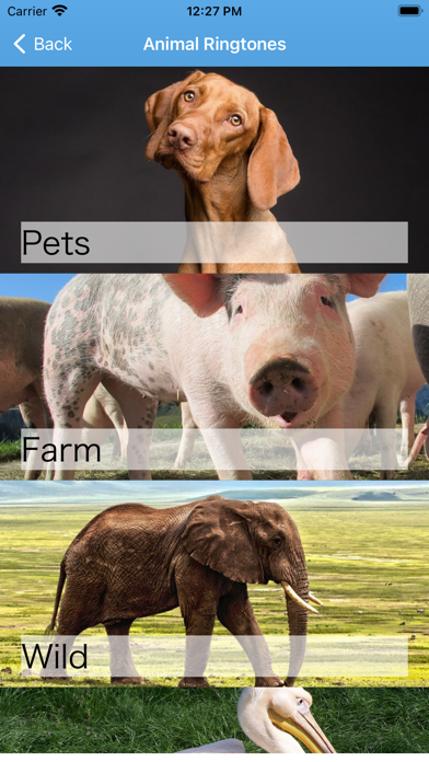 Funny Animal Ringtones Sounds Screenshot