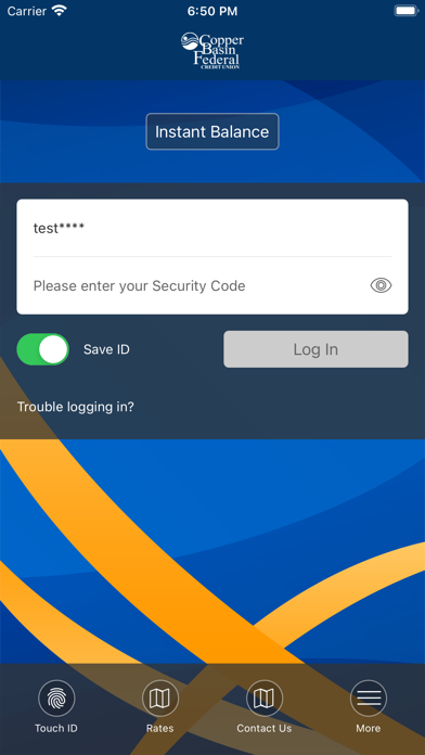 Copper Basin FCU Screenshot