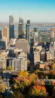 montreal wallpapers problems & solutions and troubleshooting guide - 2