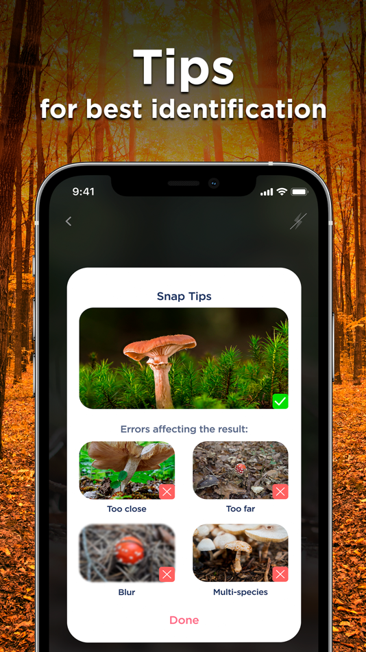 #6. Mushroom Identifier: Photo ID (iOS) 由: Picture & Photo Identifier Company LTD