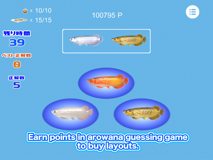 My Asian arowana Aquarium