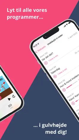 Game screenshot r8Dio apk