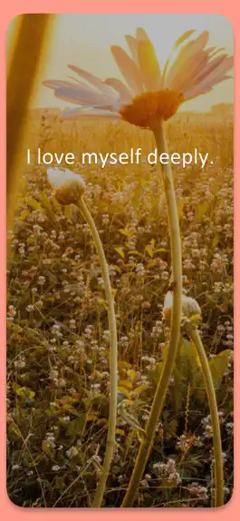 Game screenshot Mindfulness Daily Affirmations apk