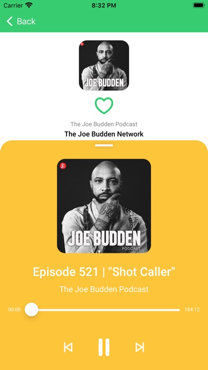 Podcasts Player App screenshot-3