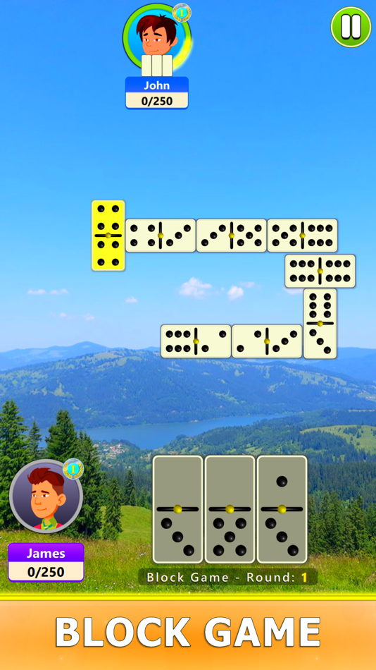 #10. Dominoes Board Game (iOS) 由: G Soft Team