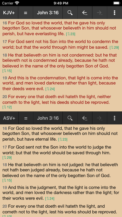 Screenshot #1 pour MyBible