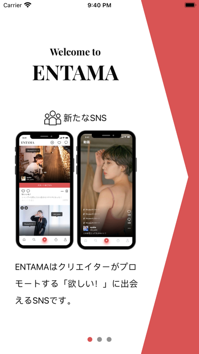 ENTAMA Screenshot