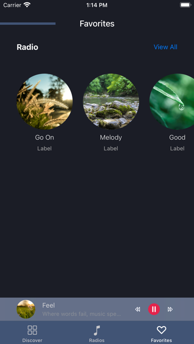 Radio Music Mix Screenshot