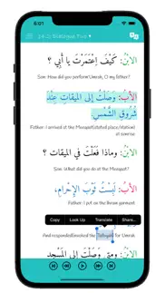arabiyyah bayna yadayk 1: aby1 iphone screenshot 2