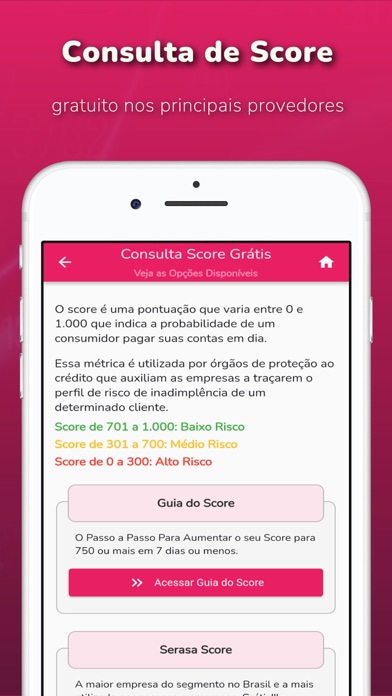 Consulta CPF, Score e Dívidas Screenshot