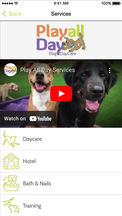 Play All Day Doggie Daycare Screenshot
