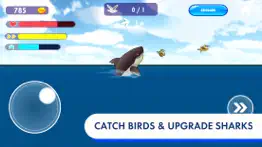 angry shark - hungry world iphone screenshot 4