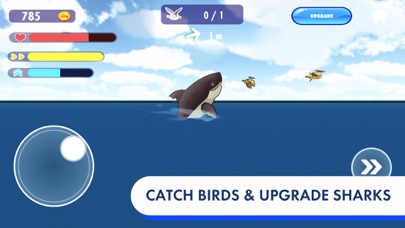 Angry Shark - Hungry World Screenshot