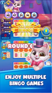 bingo - zingplay iphone screenshot 3
