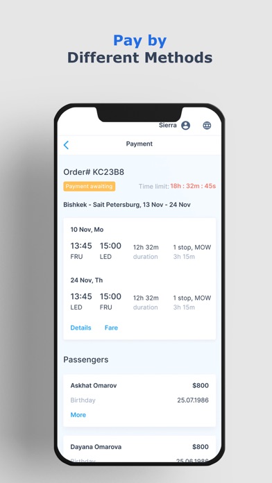 Fly Penguin Airline Screenshot