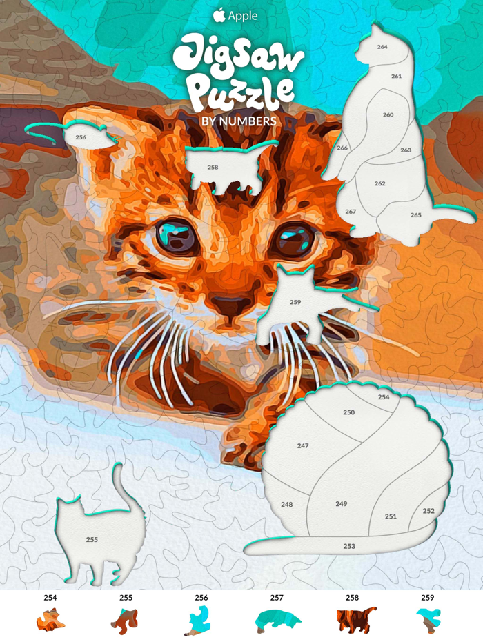 Jigsaw Puzzle By Numbers