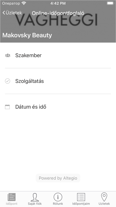 VAGHEGGI SZÉPSÉGSZALONOK Screenshot