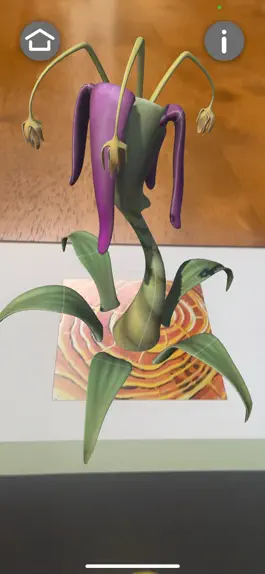 Game screenshot Ginny Ruffner's AR apk