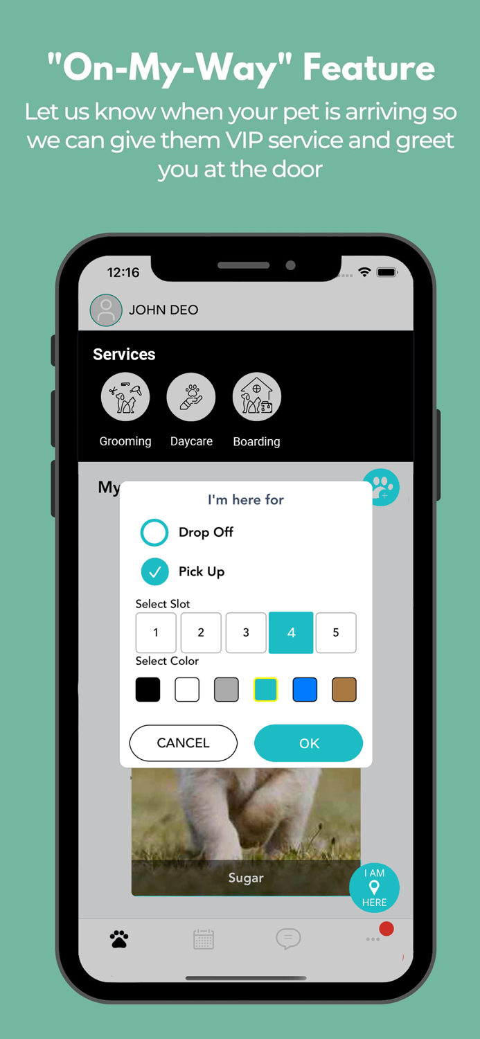 Wags and Whiskers Stay and Play