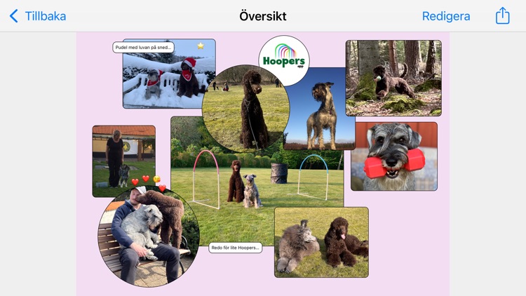 Hoopers App screenshot-6