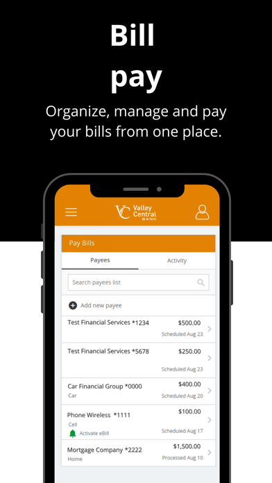 Valley Central Bank Screenshot