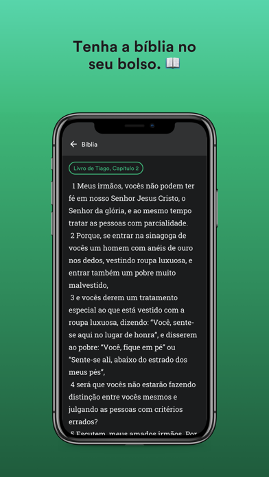 Videira Rio Screenshot